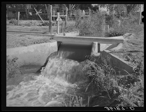 Water in lateral irrigation ditch. Maricopa County, Arizona. Citrus fruit and vegetables are the main crop