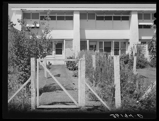 Backyard of apartment on the Arizona part-time farms. Maricopa County, Arizona
