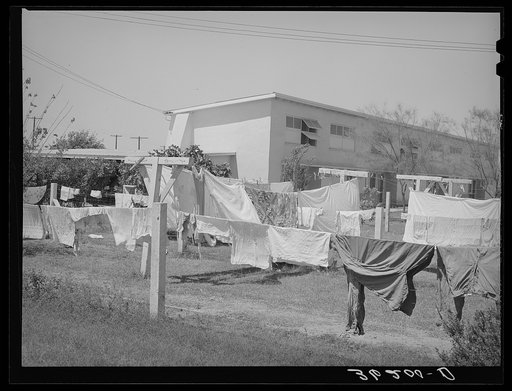 Backyard of apartment at the Arizona part-time farms. Maricopa County, Arizona