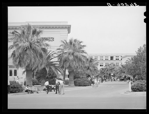 Noon hour at the Phoenix Union High School. Phoenix, Arizona