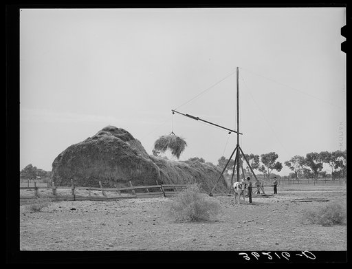 Putting up hay on farm in Maricopa County, Arizona