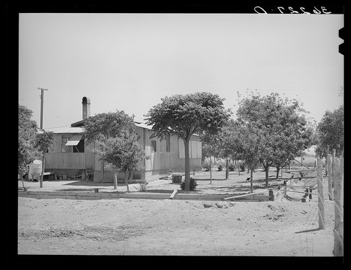 Yard and house of tenant purchase client showing irrigation system for flowers, trees and lawn. Maricopa County, Arizona