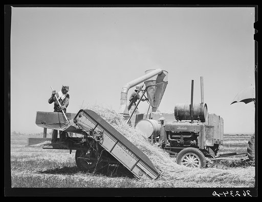 Combined hay picker-upper and chopper developed by members of the Casa Grande Valley Farms, Pinal County, Arizona, with the aid of Mr. Walton, FSA (Farm Security Administration) regional farm supervisor. After hay is chopped, it is loaded into a truck which drives by the side of the chopper and is t