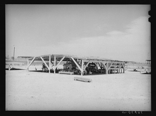 Untitled photo, possibly related to: Chicken shelter on the Arizona part-time farms, Chandler Unit. Maricopa County, Arizona