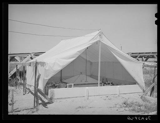 Breeder house for chickens at the Casa Grande Valley Farms. Pinal County, Arizona