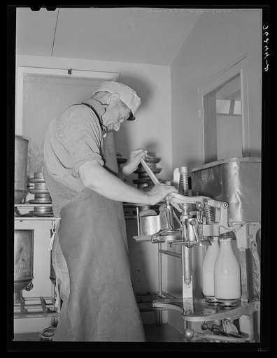 Member of the Casa Grande Valley Farms, Arizona, capping milk bottles