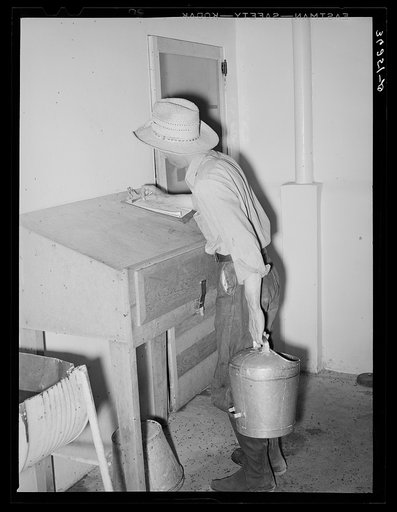 Writing down weight of milk given by one cow at the Casa Grande Valley Farms. Pinal County, Arizona. Exact and completed milk records are kept on all dairy cows