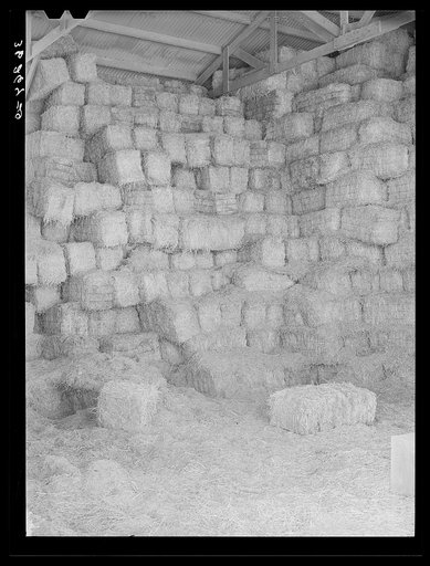 Untitled photo, possibly related to: Baled hay stored for cattle feed at the Casa Grande Valley Farms. Pinal County, Arizona