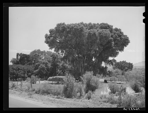 Water storage pools for irrigation and stock on Mormon farms at Saint David, Arizona