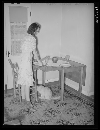 Wife of member of the Casa Grande Valley Farms setting the table. Pinal County, Arizona
