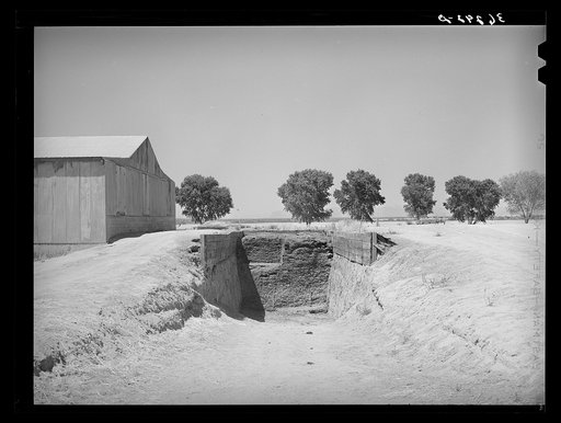 Trench silo for cattle feed at the Casa Grande Valley Farms. Pinal County, Arizona