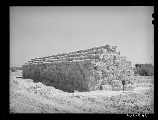Baled hay for the stock. Casa Grande Valley Farms, Pinal County, Arizona
