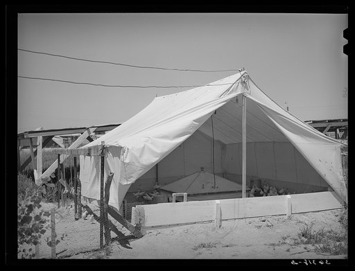 Untitled photo, possibly related to: Breeder house for chickens at the Casa Grande Valley Farms. Pinal County, Arizona