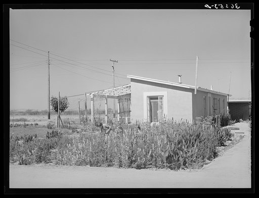 Children in flower garden at side of their home at the Casa Grande Valley Farms. Pinal County, Arizona