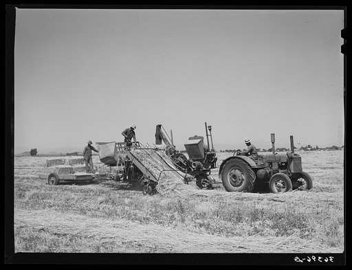 Hay picker-up and chopper at the Casa Grande Valley Farms. Pinal County, Arizona