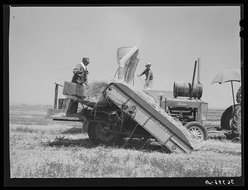 Hay machine at the Casa Grande Valley Farms. Pinal County, Arizona