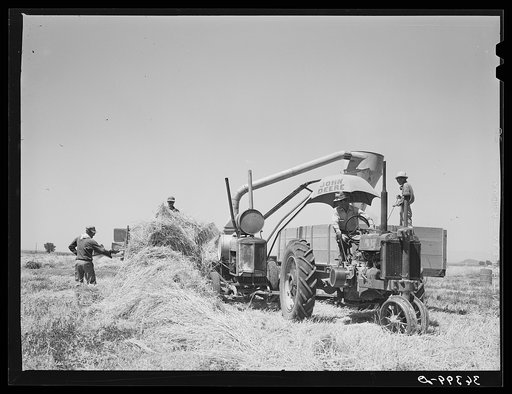 Hay machine at the Casa Grande Valley Farms. Pinal County, Arizona