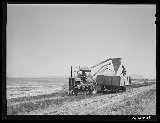 Hay machine at the Casa Grande Valley Farms. Pinal County, Arizona