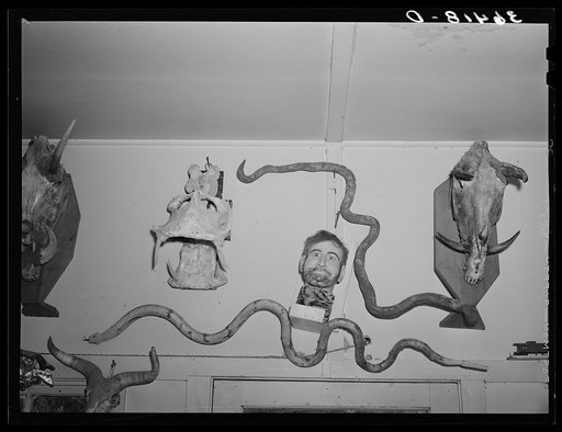 Work of Homer Tate. Safford, Arizona