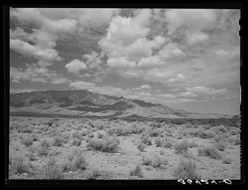 Sagebrush, mountains and clouds in Cochise County, Arizona. This is a typical Arizona scene