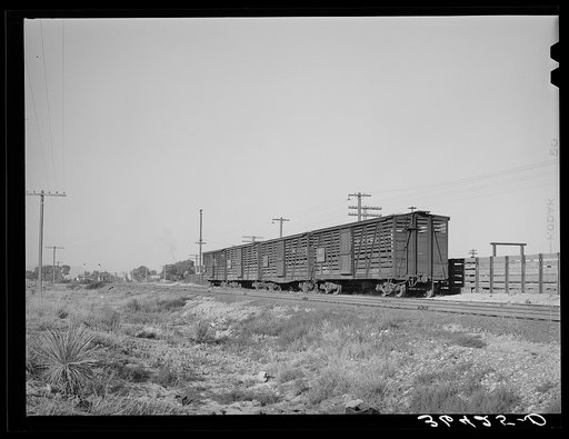 Untitled photo, possibly related to: Empty cattle cars on siding at Willcox, Arizona. Ranching is extensively developed around Willcox