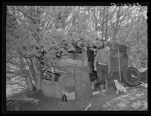 Eugene Davis, gold prospector, coming out of his shack home at his diggings at Pinos Altos, New Mexico