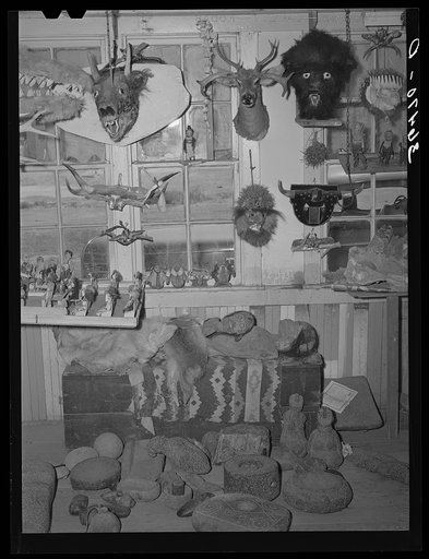 Heads, mummies and Indian relics. The heads and mummies were made by Homer Tate and the mummies were so realistic that curators of museums must examine them closely to determine their artificiality. Indian relics are geunuine. Safford, Arizona