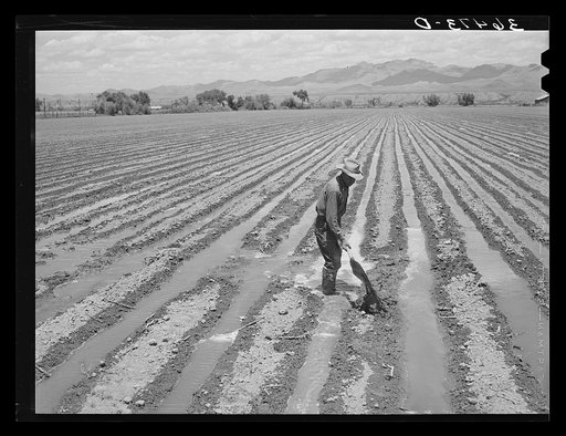 Irrigation at Solomonsville, Arizona