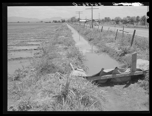 Untitled photo, possibly related to: Irrigation ditch. Solomonsville, Graham County, Arizona