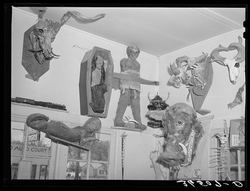 Mummies and heads, creations of Homer Tate. Safford, Arizona