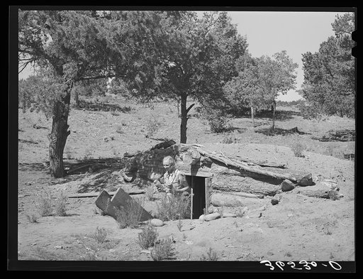 Mrs. Faro Caudill bringing cans of fruit out of dugout cellar. Pie Town, New Mexico. Nearly every farm has these storage cellars