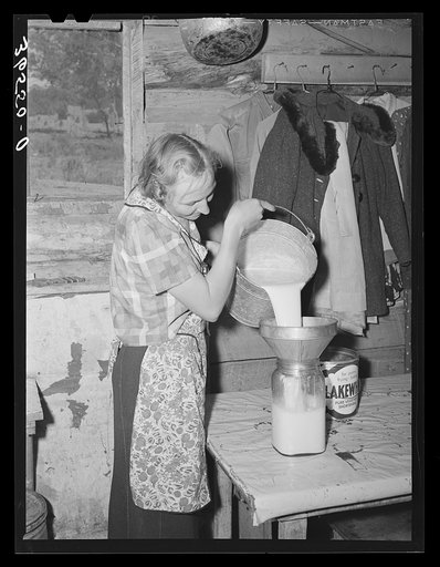 Mrs. Faro Caudill straining milk. Every farmer has milk cows for his own use and sells cream to the creamery at Socorro