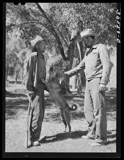 Untitled photo, possibly related to: Rancher and herder talking. Catron County, New Mexico