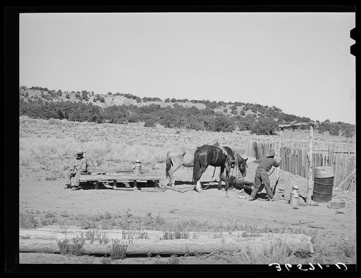 Faro Caudill drawing water. He will haul to his house. About a week after this picture was taken, Caudill tore down his original dugout and rebuilt it near this well. Pie Town, New Mexico