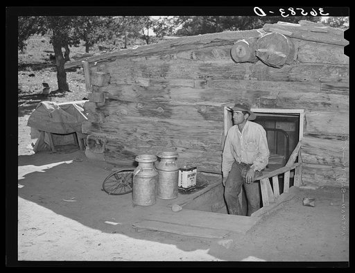 Faro Caudill, homesteader, coming up out of his dugout. Pie Town, New Mexico