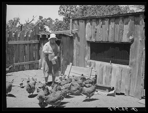 Mrs. George Hutton who farmed near Maud, Oklahoma, until oil was discovered there. She came to Pie Town with her husband to homestead and escape the noise and confusion of the oil field. Pie Town, New Mexico