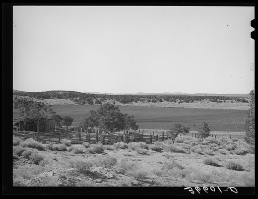 Corral and cultivated land of homesteader at Pie Town, New Mexico