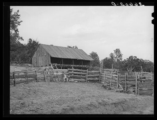 Slab fence and barn of homesteader at Pie Town, New Mexico