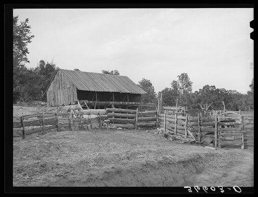 Untitled photo, possibly related to: Slab fence and barn of homesteader at Pie Town, New Mexico