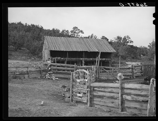 Fence, gate, and barn made of slabs on homesteader's farm. Pie Town, New Mexico