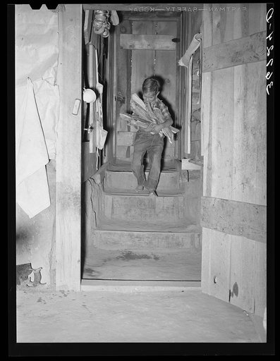 Jack Whinery's young son coming down the steps into the dugout with an armload of wood. Pie Town, New Mexico