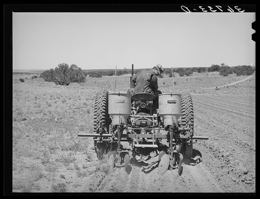 George Hutton, Jr., planting beans. Pie Town, New Mexico