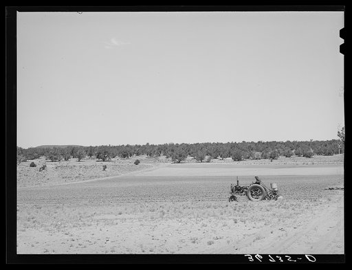 Planting beans with a tractor. Pie Town, New Mexico