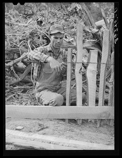 Untitled photo, possibly related to: Jack Whinery fencing with handsplit rails on his homestead at Pie Town, New Mexico