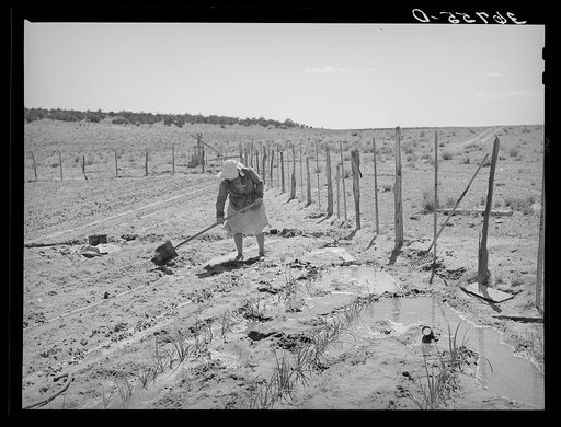 Mrs. George Hutton irrigating her garden. The Huttons have ample water at their farm. This was the only irrigated garden seen in the section. Pie Town, New Mexico