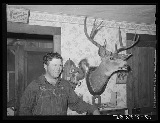 George Hutton, Jr., standing by mounted animals which he killed. Pie Town, New Mexico