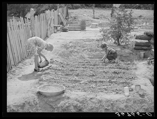 The Whinery children work in the flowerbed by the side of their house. Pie Town, New Mexico
