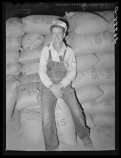 Mr. Craig, first and foremost citizen of Pie Town, New Mexico. He is sitting on sacks of pinto beans. While he owns the warehouse and attends to the marketing, he charges no commission for storage or marketing. He charges a small fee for cleaning the beans