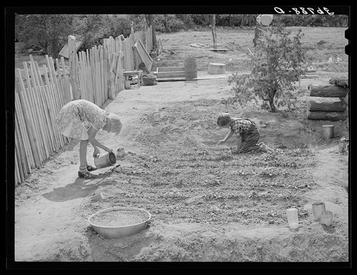 Untitled photo, possibly related to: The Whinery children work in the flowerbed by the side of their house. Pie Town, New Mexico