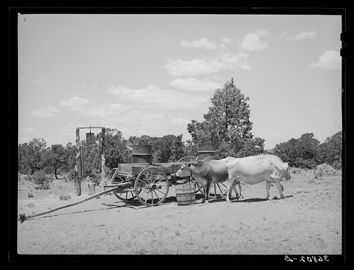 Farm scene. Pie Town, New Mexico